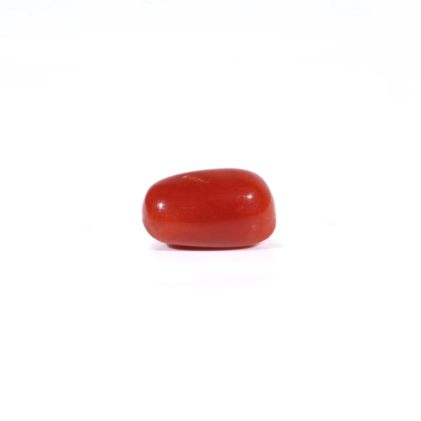 Red Coral - 2.67 Carat