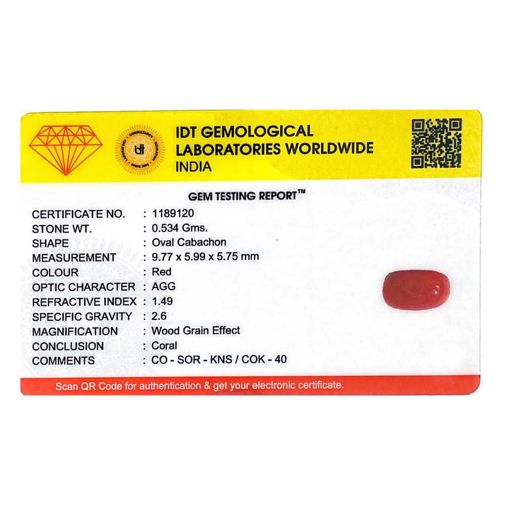 Red Coral - 2.67 Carat