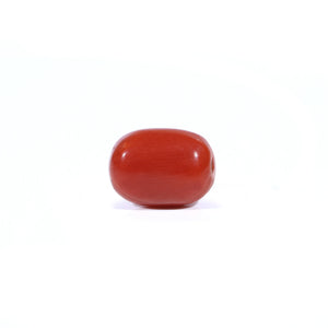 Red Coral - Moonga - 2.4 Carat - Pramogh