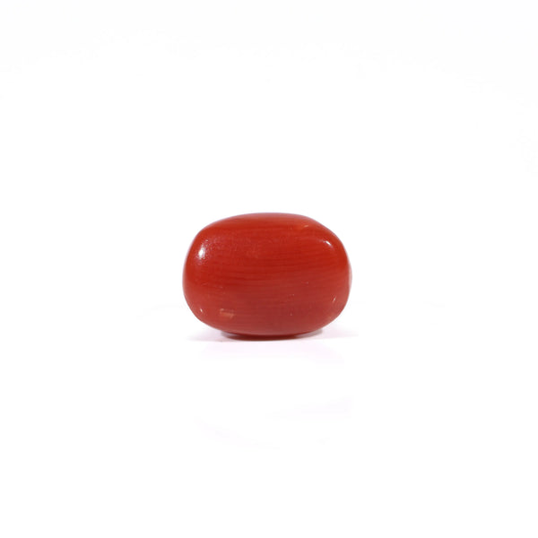 Red Coral - 2.4 Carat