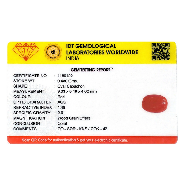 Red Coral - 2.4 Carat