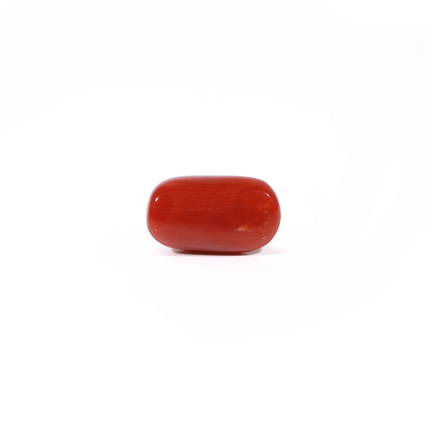 Red Coral - 3.65 Carat