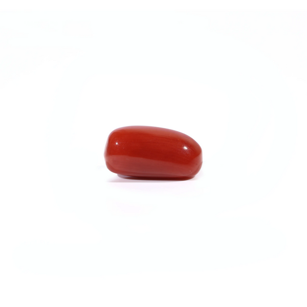 Red Coral - 3.65 Carat