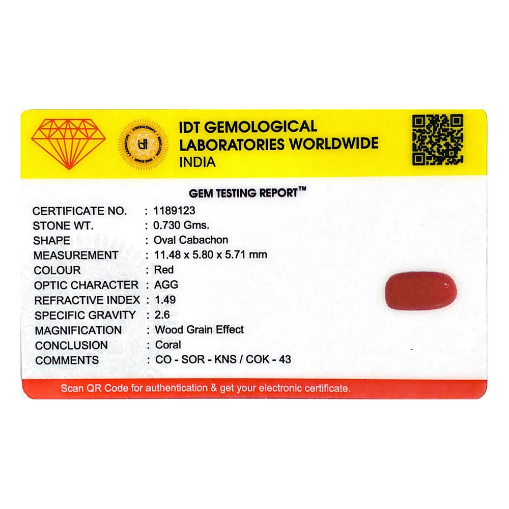 Red Coral - 3.65 Carat