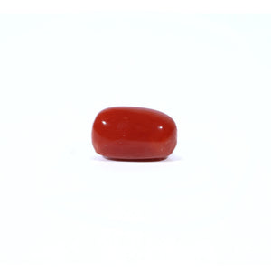 Red Coral - Moonga - 4.25 Carat - Pramogh