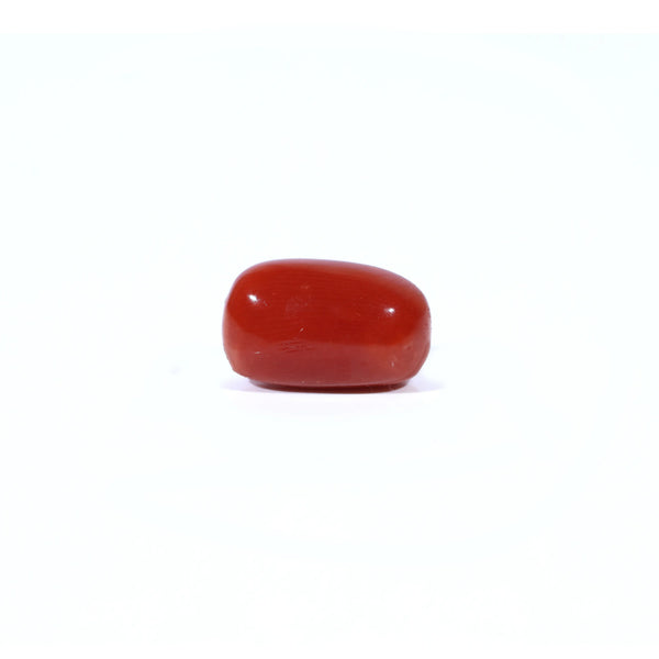 Red Coral - Moonga - 4.25 Carat - Pramogh