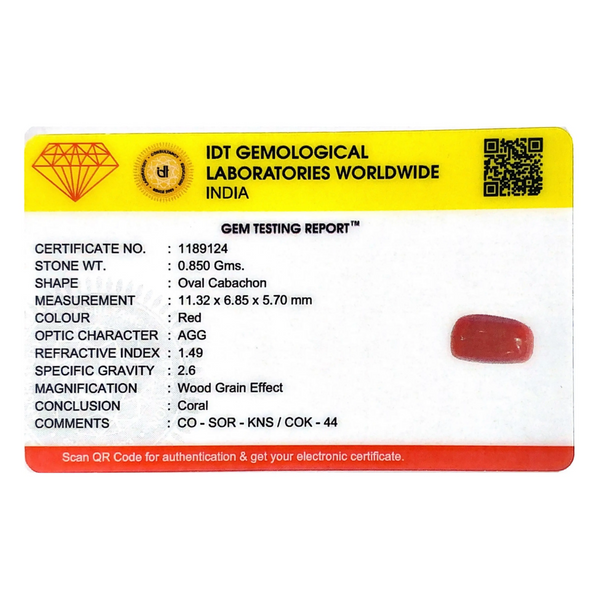 Red Coral - 4.25 Carat