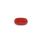 Red Coral - Moonga - 2.28 Carat - Pramogh