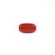 Red Coral - Moonga - 2.28 Carat - Pramogh