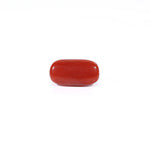 Red Coral - 2.28 Carat