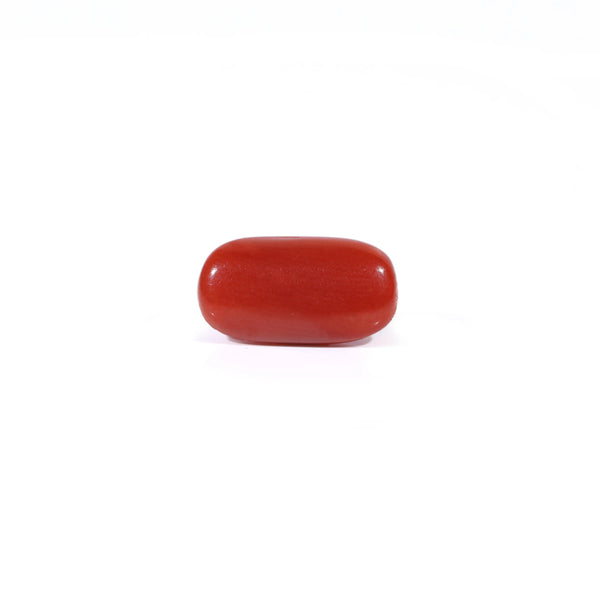 Red Coral - 2.28 Carat