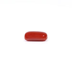 Red Coral - 2.28 Carat