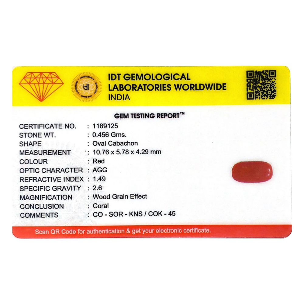 Red Coral - 2.28 Carat