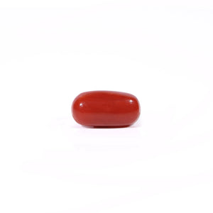 Red Coral - Moonga - 2.6 Carat - Pramogh
