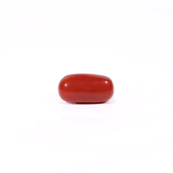 Red Coral - Moonga - 2.6 Carat - Pramogh