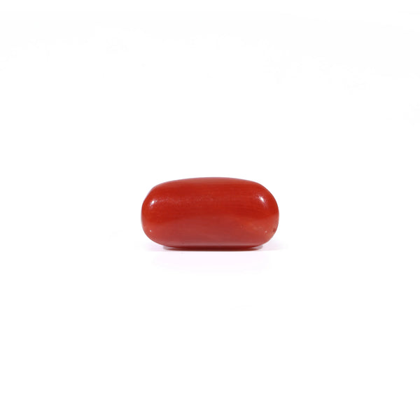 Red Coral - 2.6 Carat