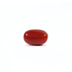 Red Coral - Moonga - 4.05 Carat - Pramogh