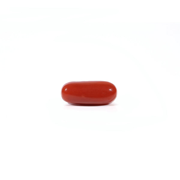 Red Coral - Moonga - 3.23 Carat - Pramogh