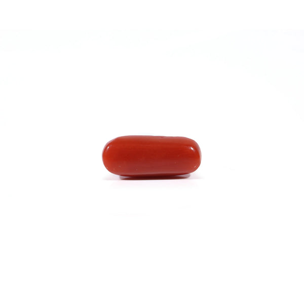 Red Coral - 3.23 Carat