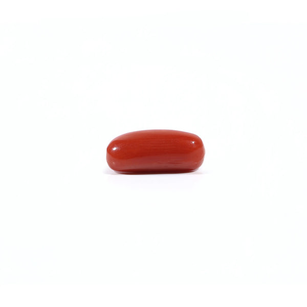 Red Coral - 3.23 Carat