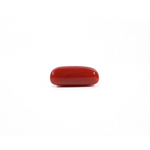 Red Coral - 3.9 Carat