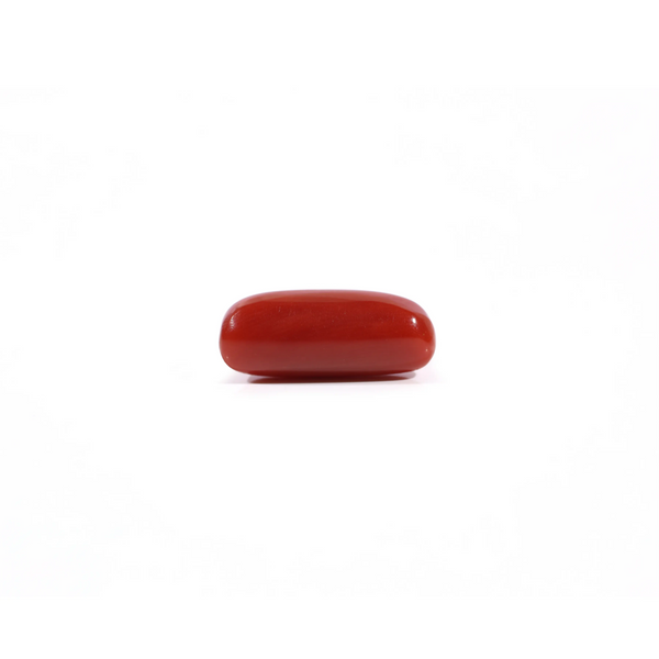 Red Coral - 3.9 Carat