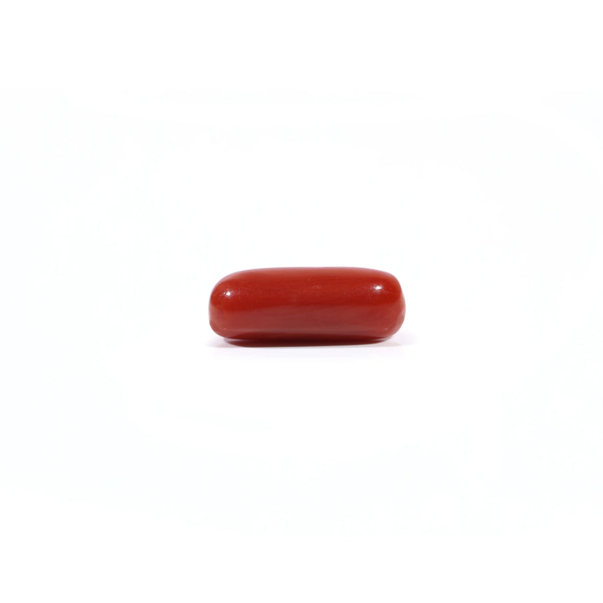 Red Coral - 3.9 Carat