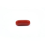 Red Coral - 3.9 Carat
