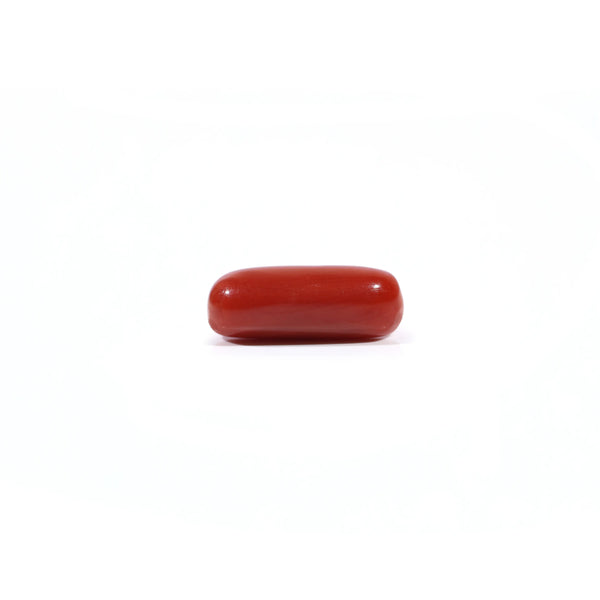 Red Coral - 3.9 Carat