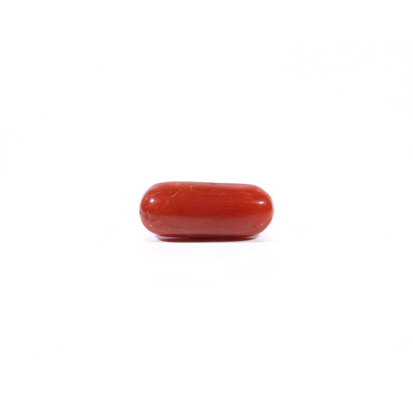 Red Coral - Moonga - 3.6 Carat - Pramogh