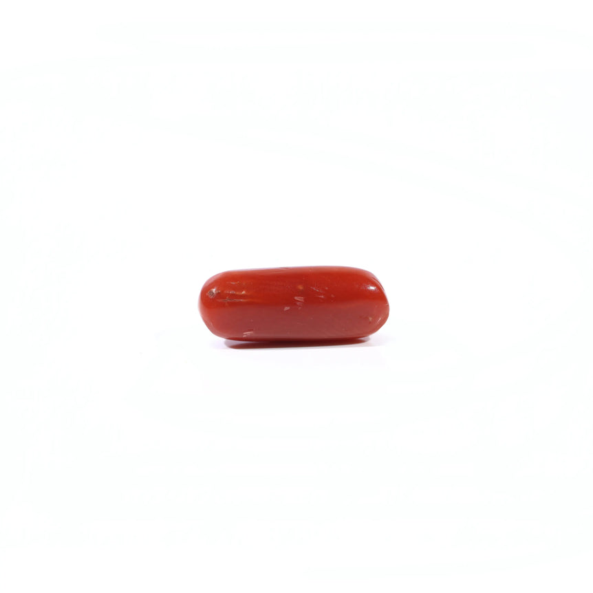 Red Coral - 3.6 Carat
