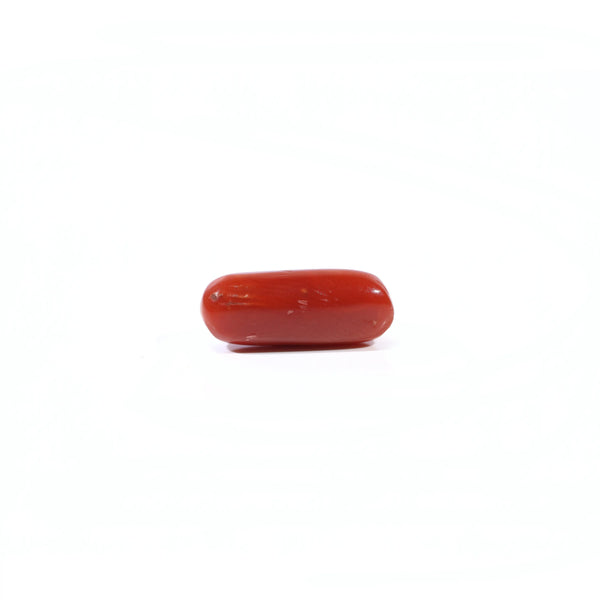 Red Coral - 3.6 Carat