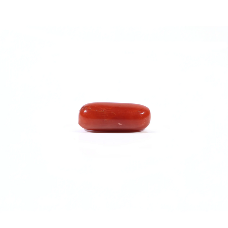 Red Coral - 3.6 Carat