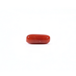 Red Coral - 3.6 Carat