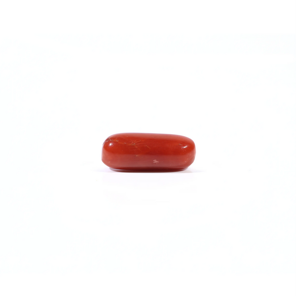 Red Coral - 3.6 Carat