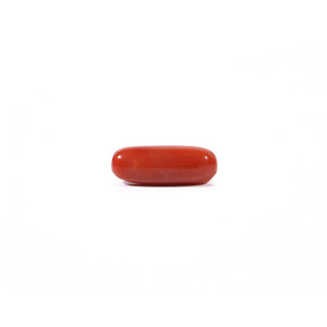 Red Coral - Moonga - 3.3 Carat - Pramogh