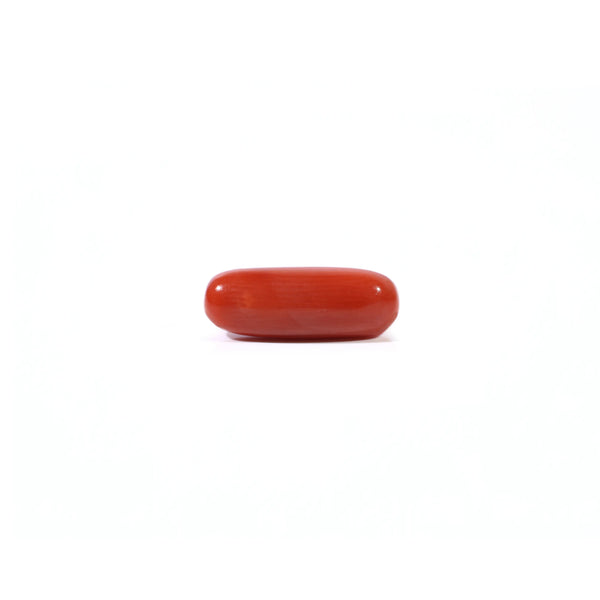 Red Coral - Moonga - 3.3 Carat - Pramogh