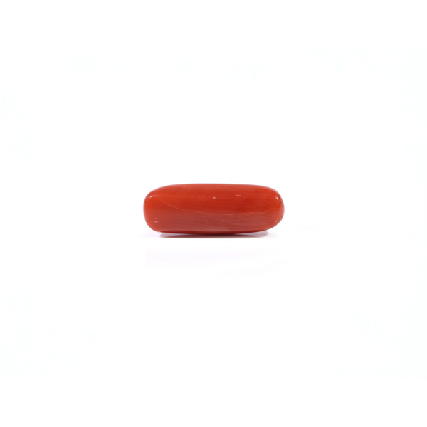 Red Coral - 3.3 Carat