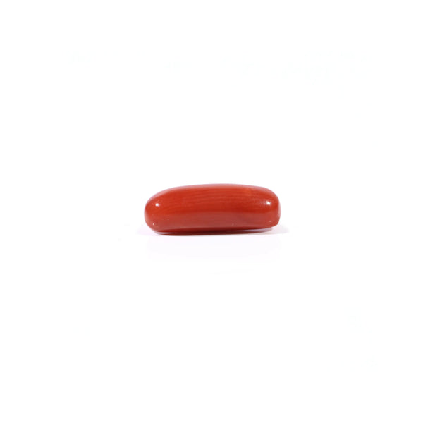 Red Coral - 3.3 Carat