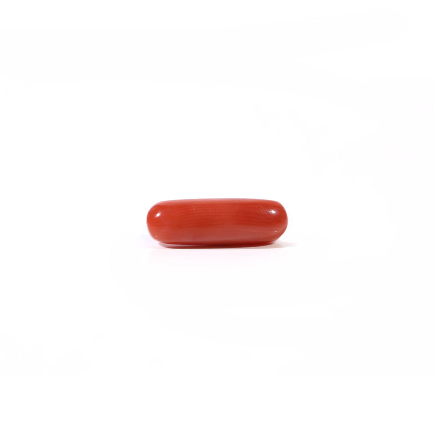 Red Coral - Moonga - 3.9 Carat - Pramogh