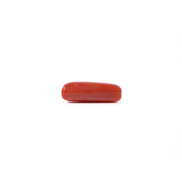 Red Coral - 3.9 Carat