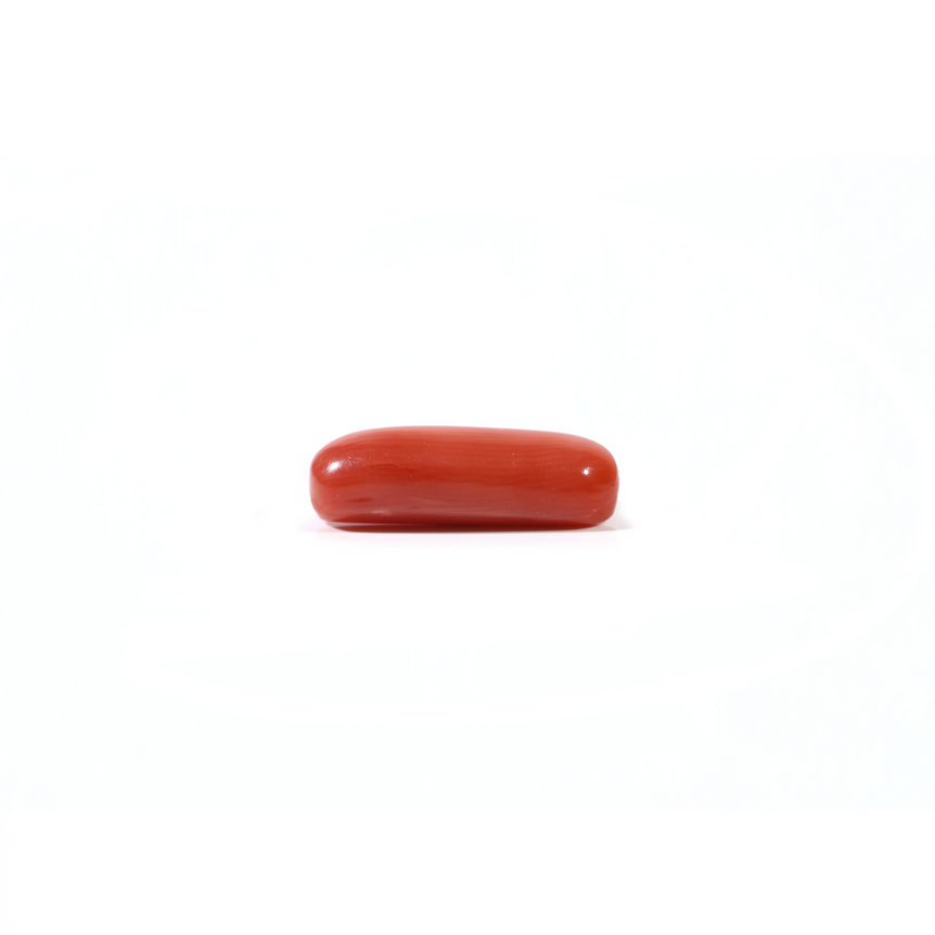 Red Coral - 3.9 Carat