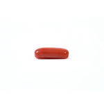 Red Coral - 3.9 Carat
