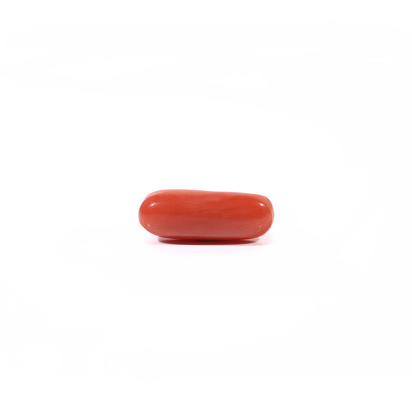 Red Coral - Moonga - 3.95 Carat - Pramogh