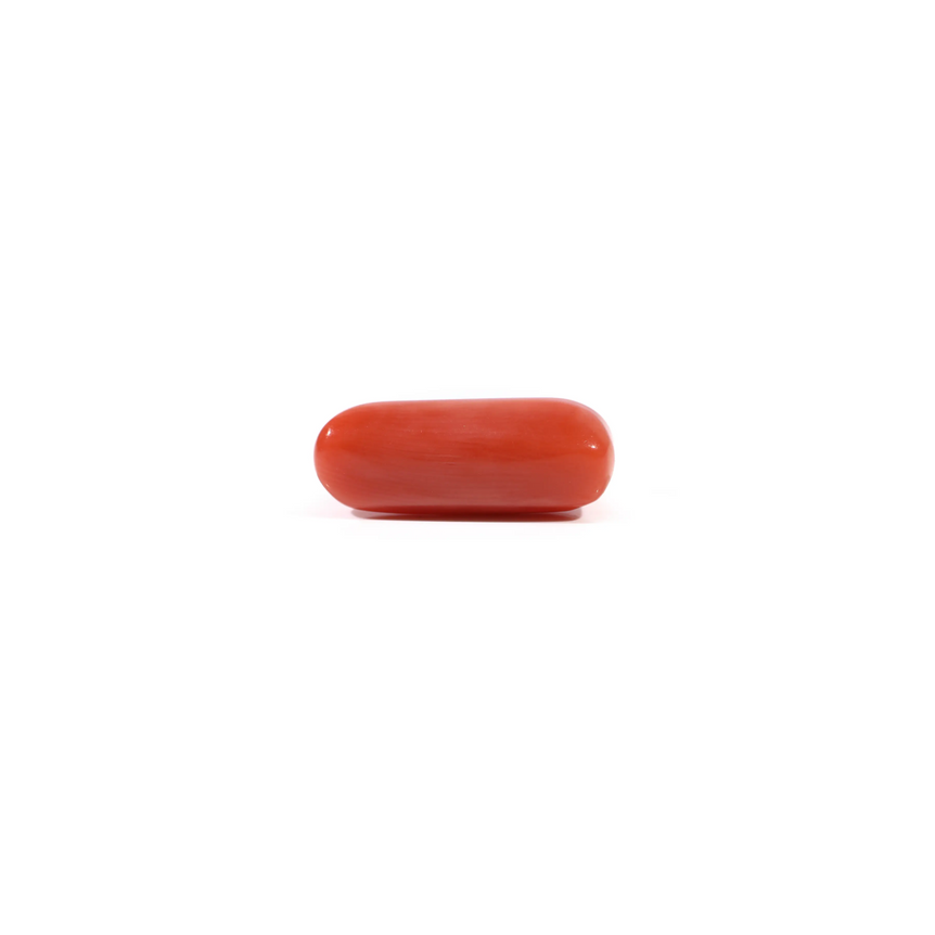 Red Coral - 3.95 Carat