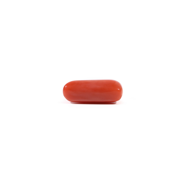 Red Coral - 3.95 Carat