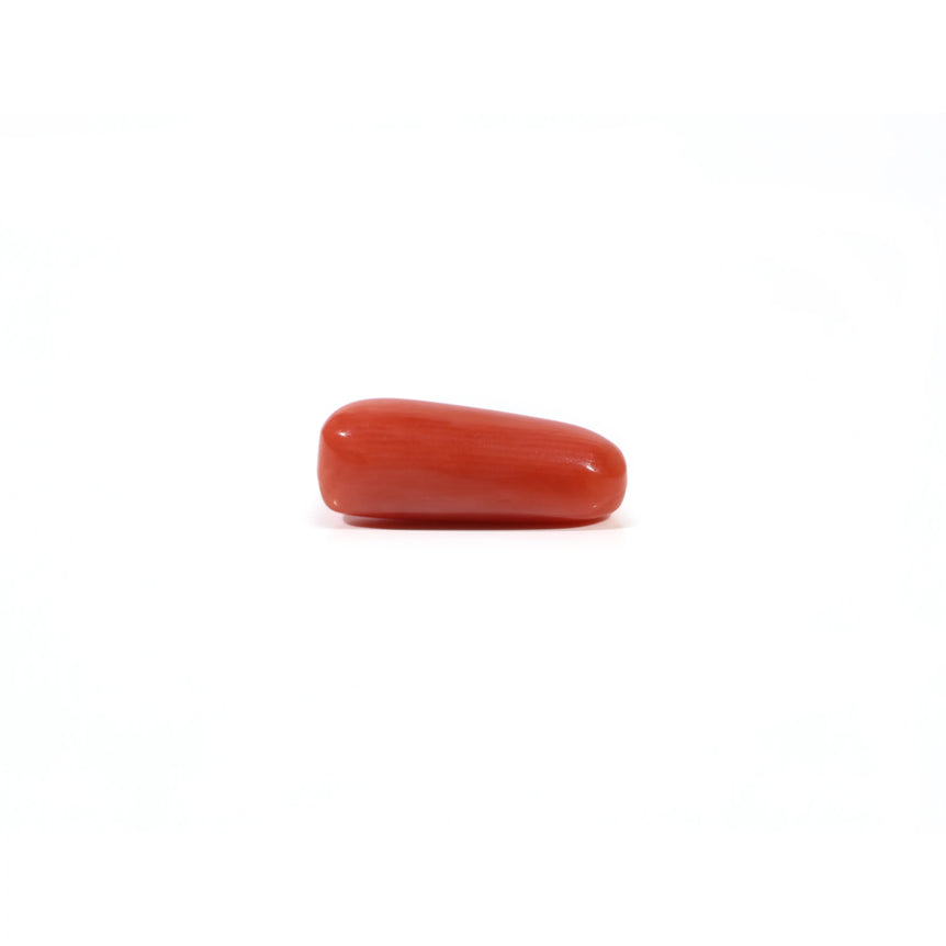 Red Coral - 3.95 Carat