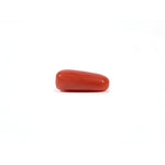 Red Coral - 3.95 Carat