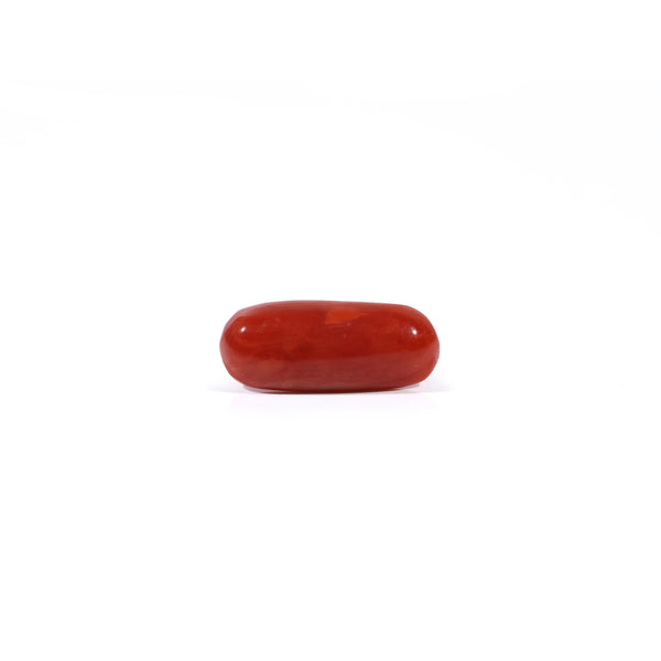 Red Coral - Moonga - 2.65 Carat - Pramogh