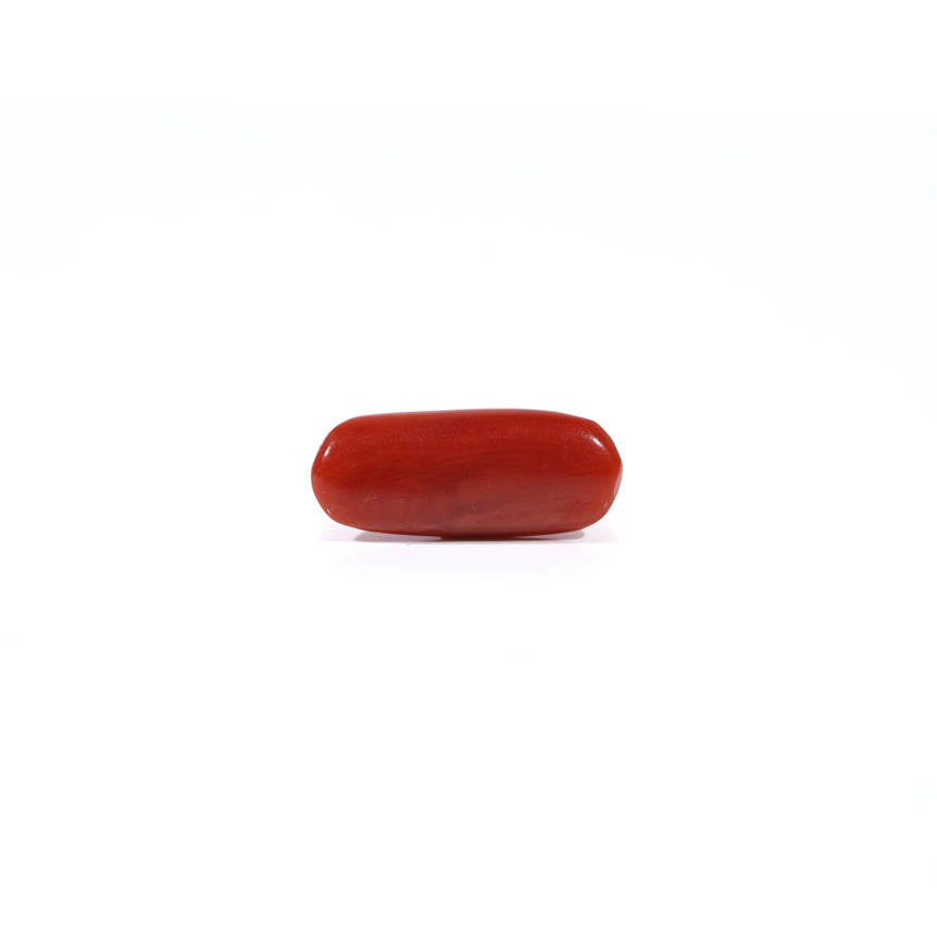 Red Coral - 2.65 Carat